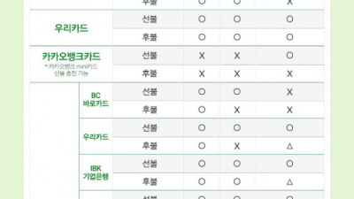 체크카드를 후불 교통카드로 삼성페이 삼성월렛 교통카드 티머니 이즐 캐시비 카드회사별 호환 리스트 신용카드 체크카드 경기패스 K패스