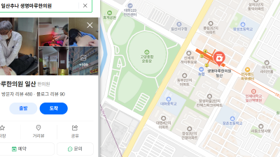 치료 늦을수록 통증도 커지는 교통사고 후유증!  [일산 교통사고 한의원]