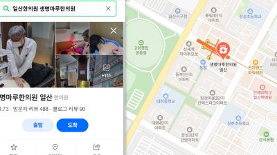 분명 몸이 아픈데 자꾸 꾀병으로 의심받아요!  [일산 교통사고 한의원]